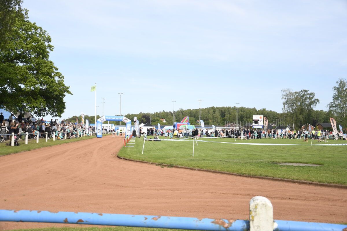 Rekord för Kalvinknatet